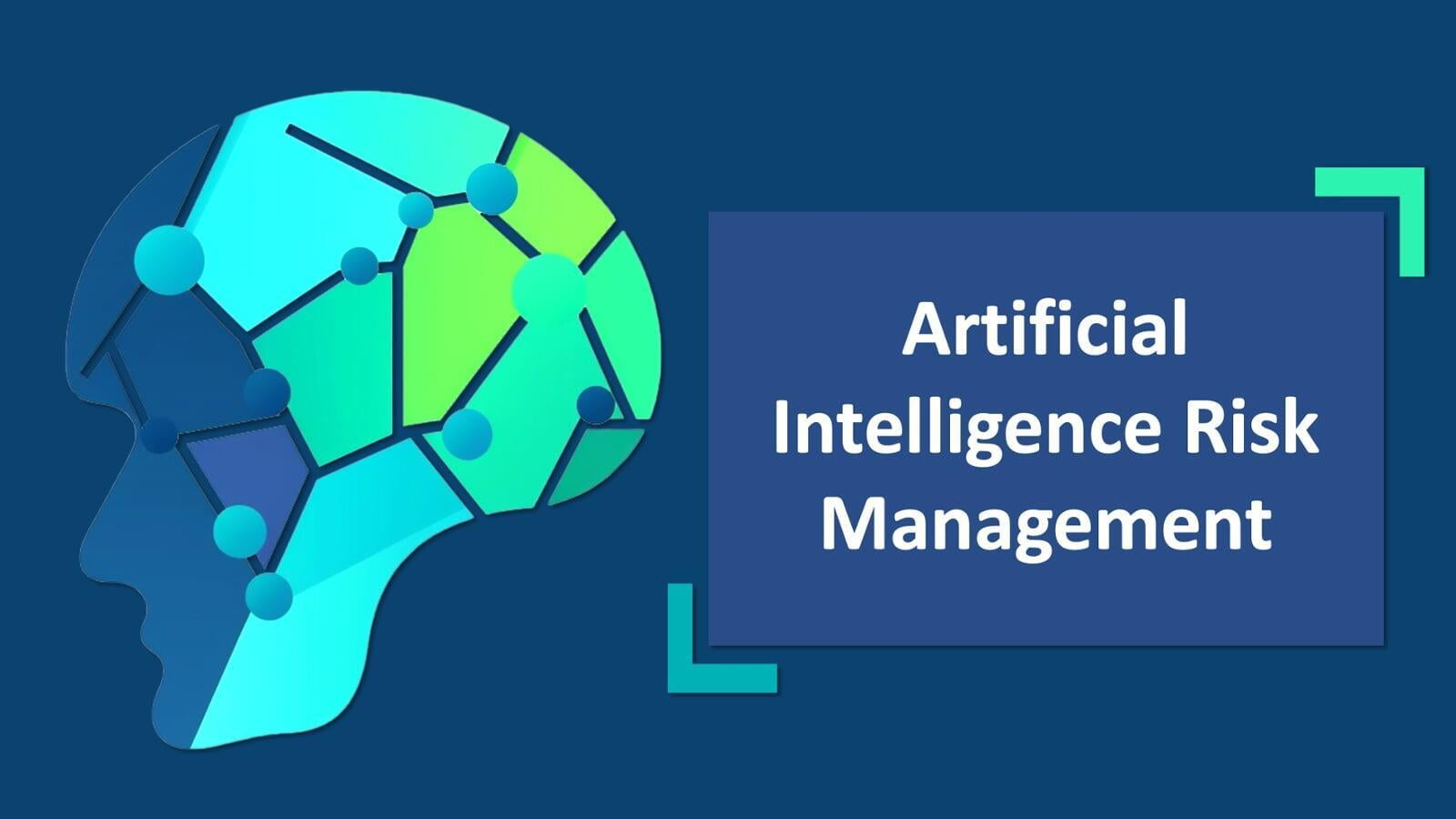 Artificial Intelligence Risk Management